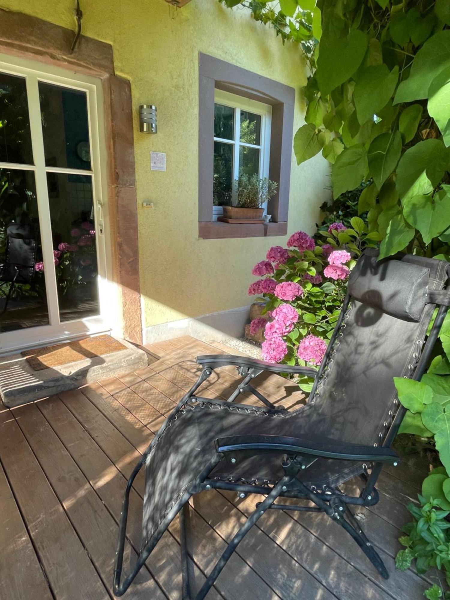 Ferienwohnung Suedliche Weinstrasse Zwischen Wald Und Reben Klingenmuenster Ngoại thất bức ảnh